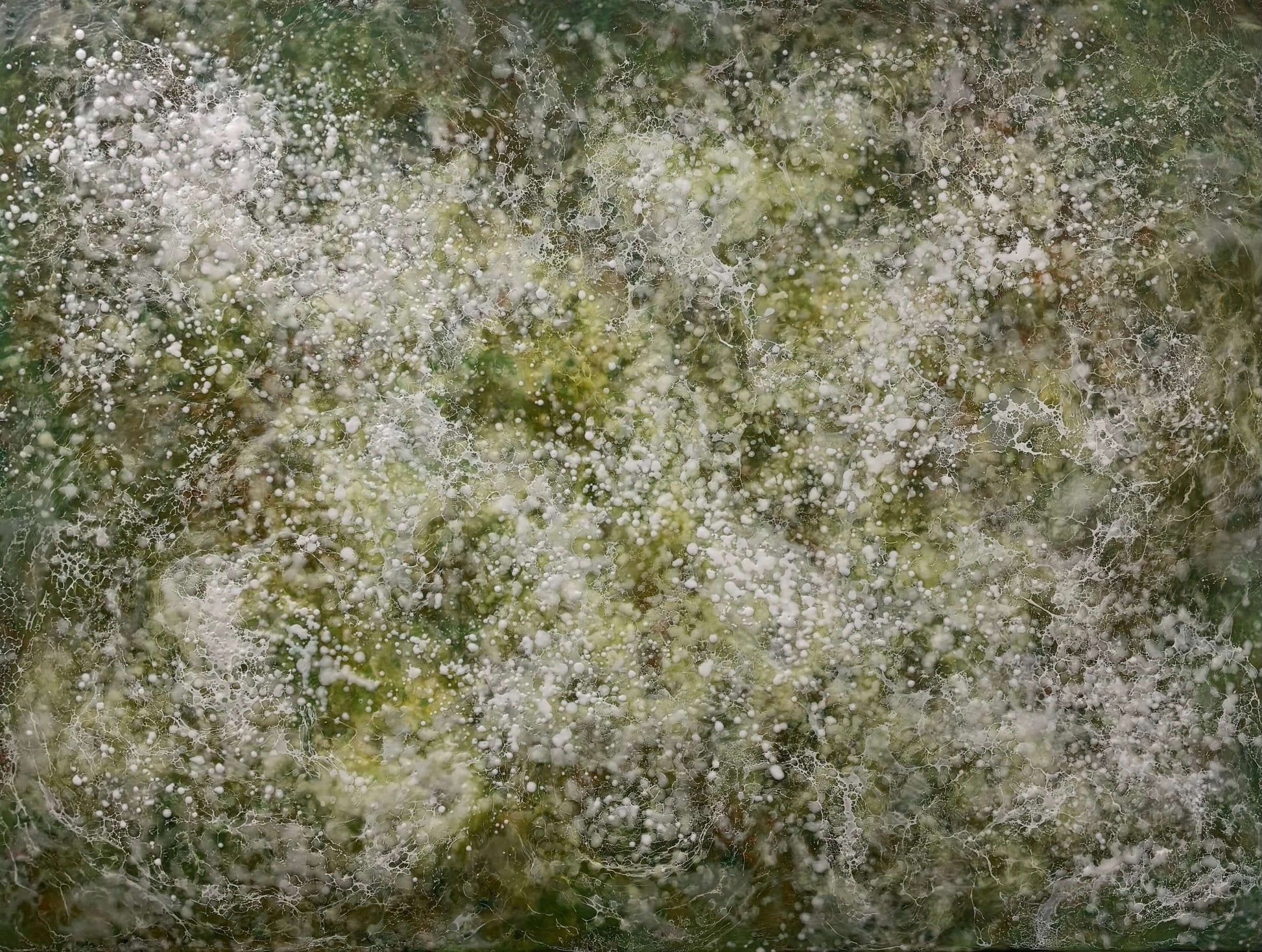Abstract painting with delicate layers of soft white, mossy green and earthy tones. The surface is textured with fine, mist like dots, and organic forms, evoking a sense of gentle movement, growth, and natural stillness