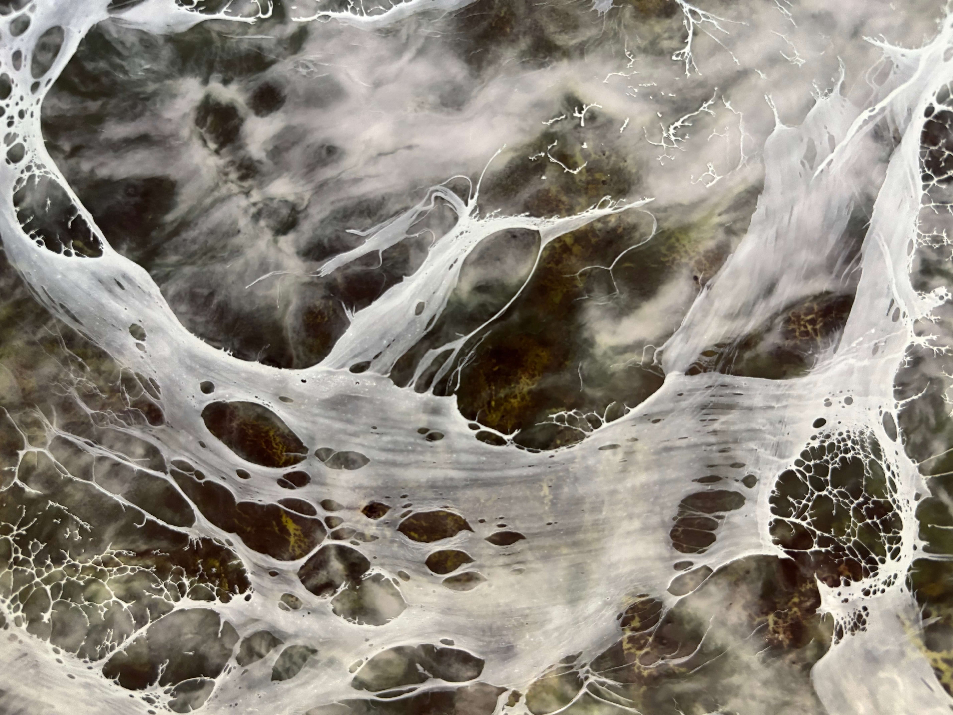 Close up.Abstract painting with layered earthy browns and whites, resembling delicate web-like veils or flowing tears across the surface